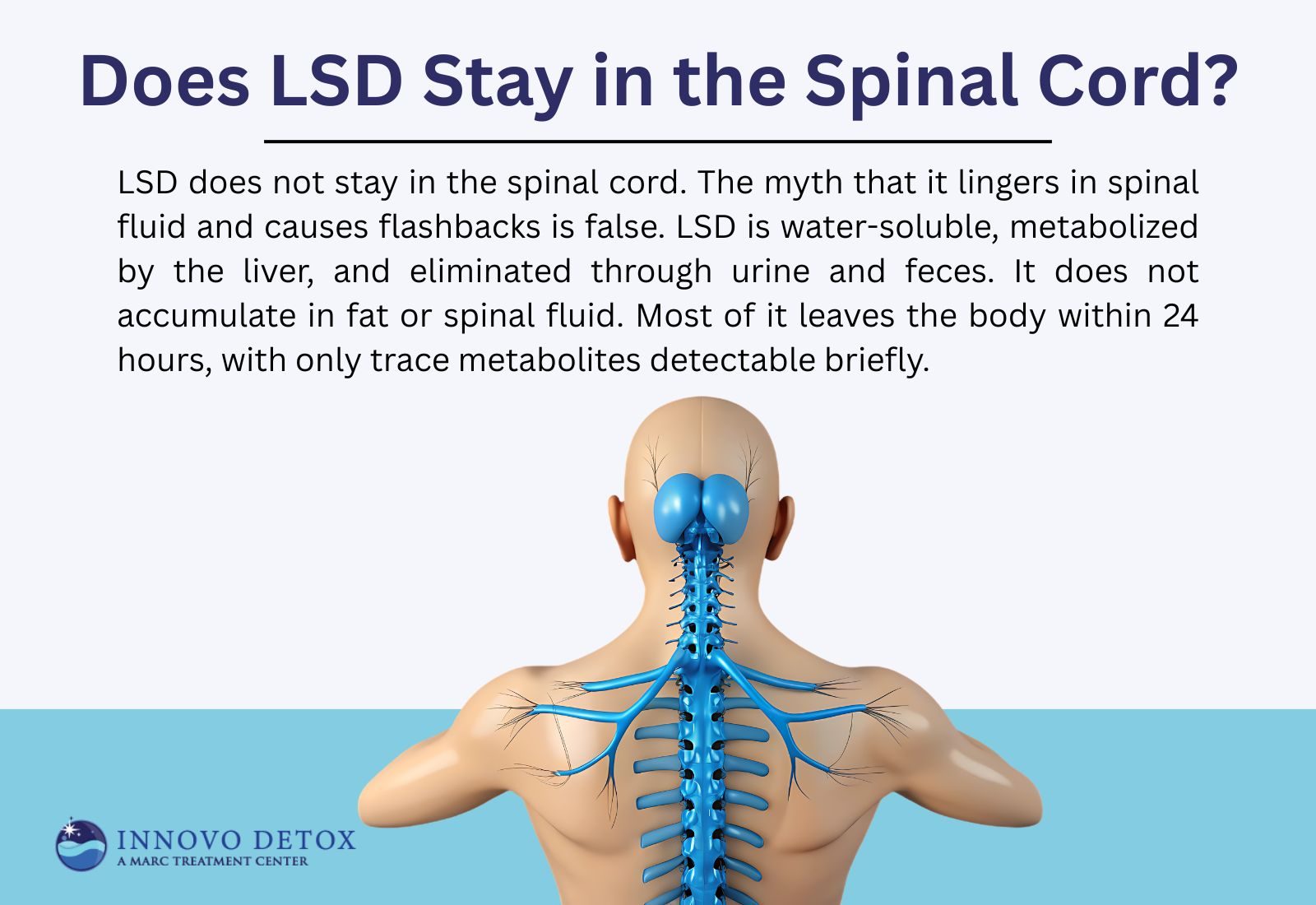 Does LSD Stay in the Spinal Cord