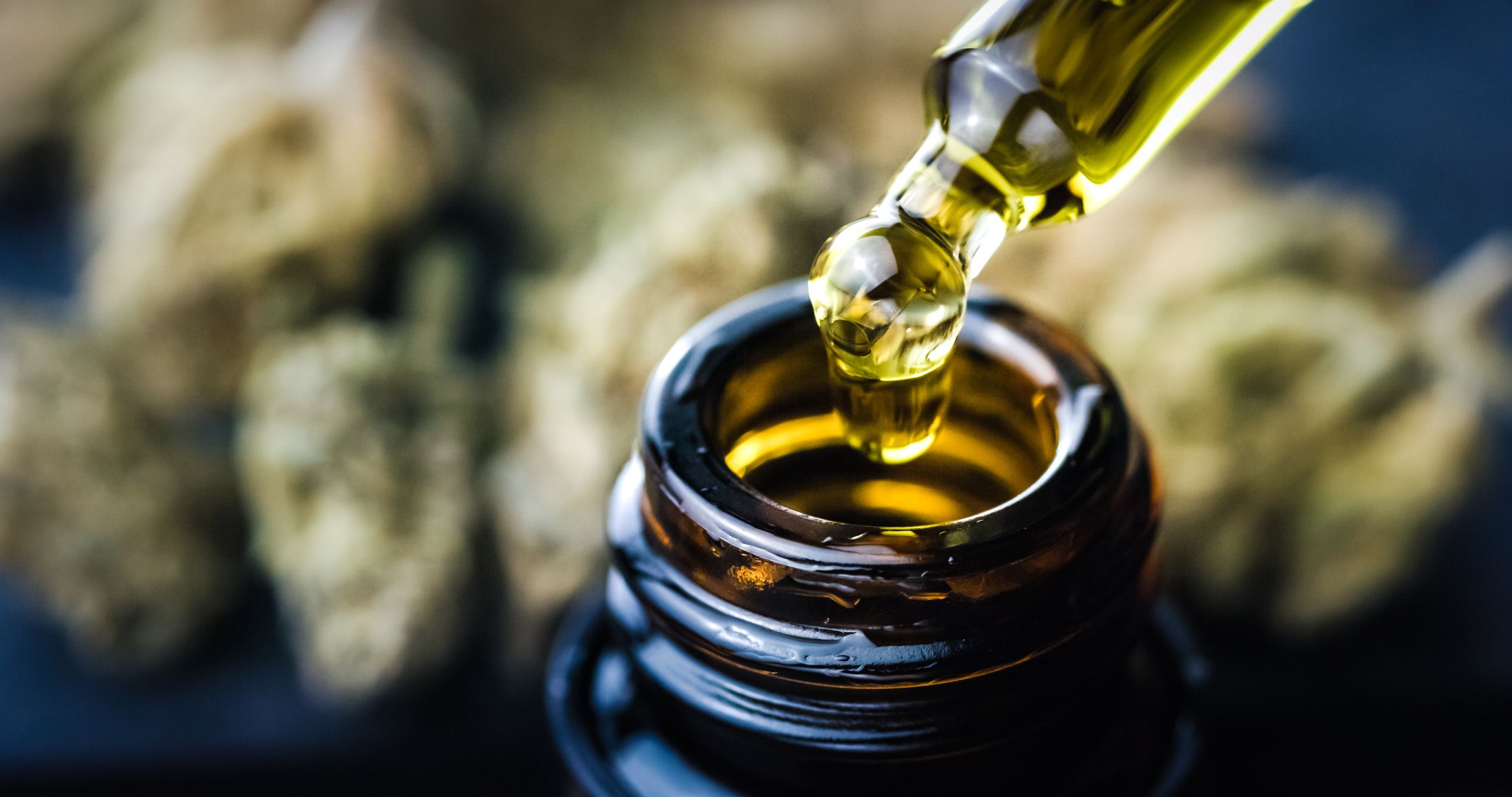 Dropper of CBD oil - CBD in recovery