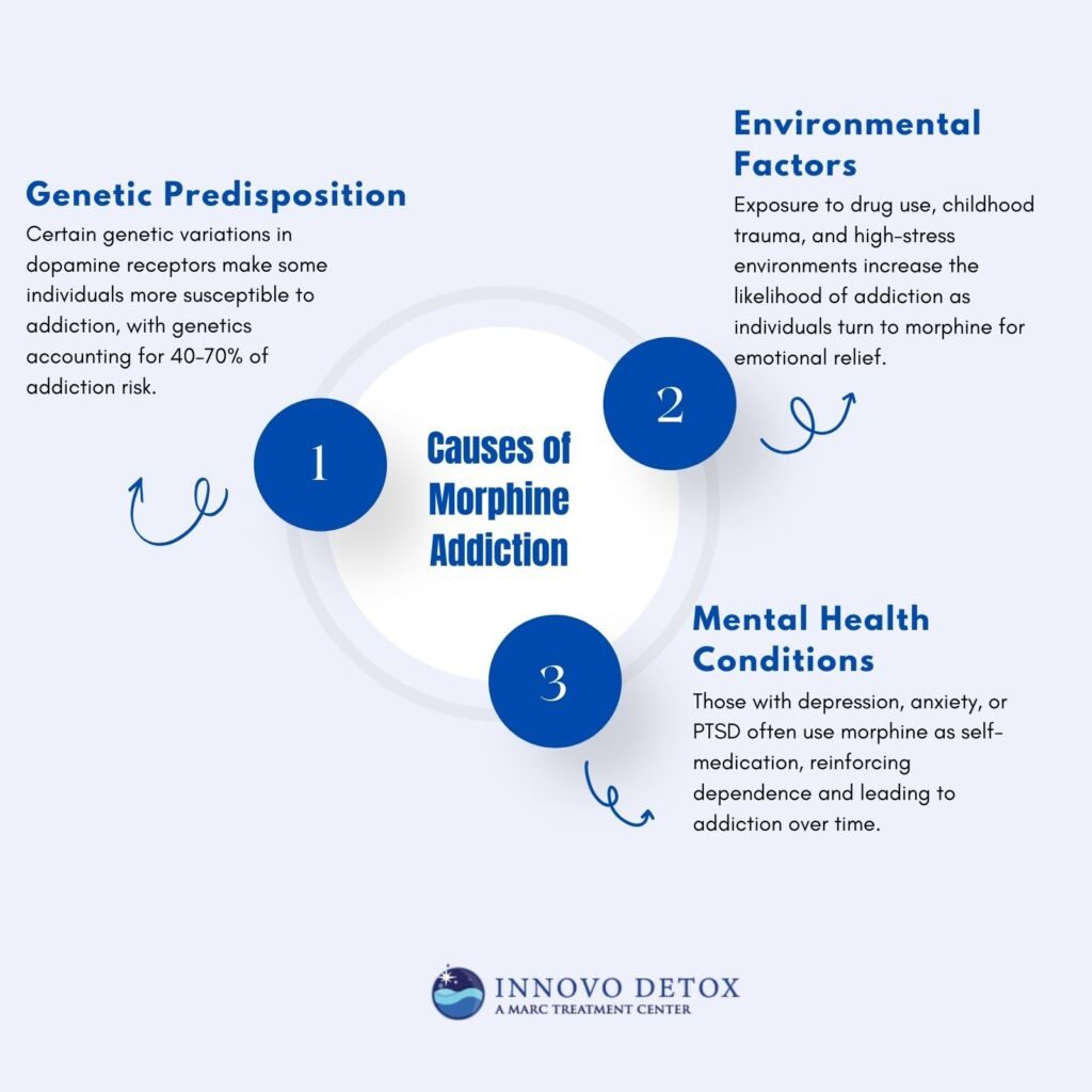Causes of Morphine Addiction